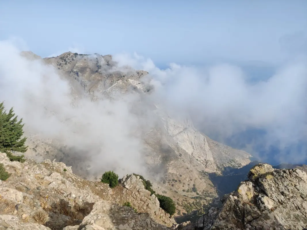 Beyond the Ordinary: Discover the Real Side of Kos - 5