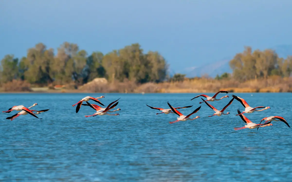 Sustainable Travel Guide to Kos - 1