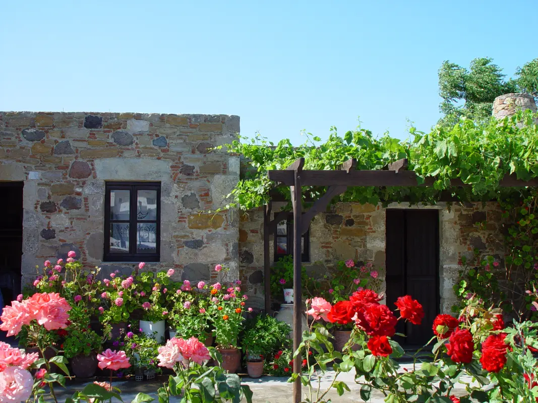 Antimachia, Kos: Castle Views, Village Life & the Most Authentic Side of the Island - 2