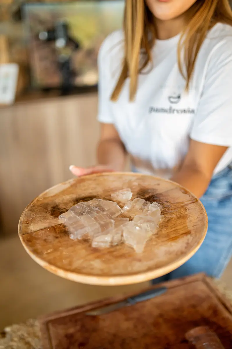Gallery image for Aloe Farm Tour & Wellness Workshop