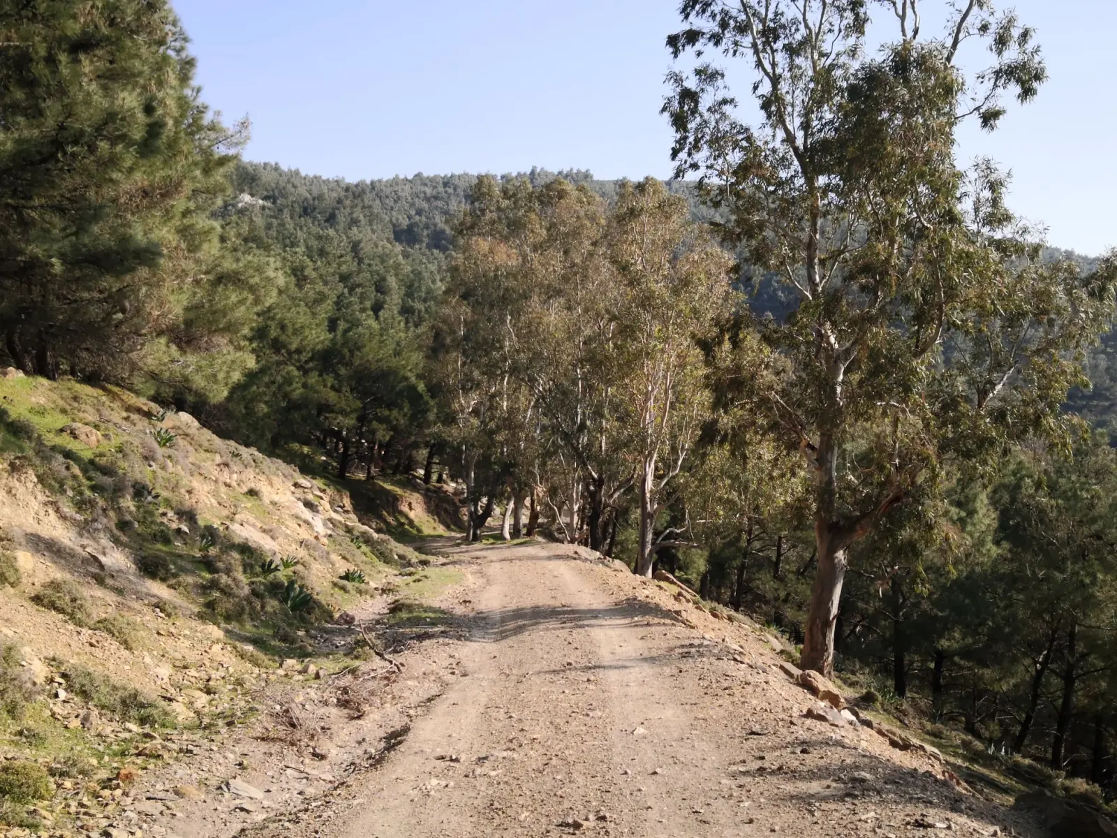 Gallery image for Turtle Hiking Tour