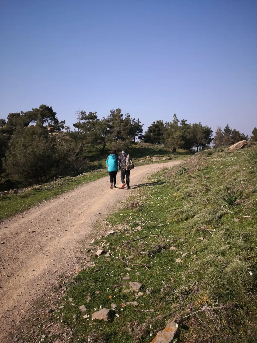 Gallery image for Turtle Hiking Tour