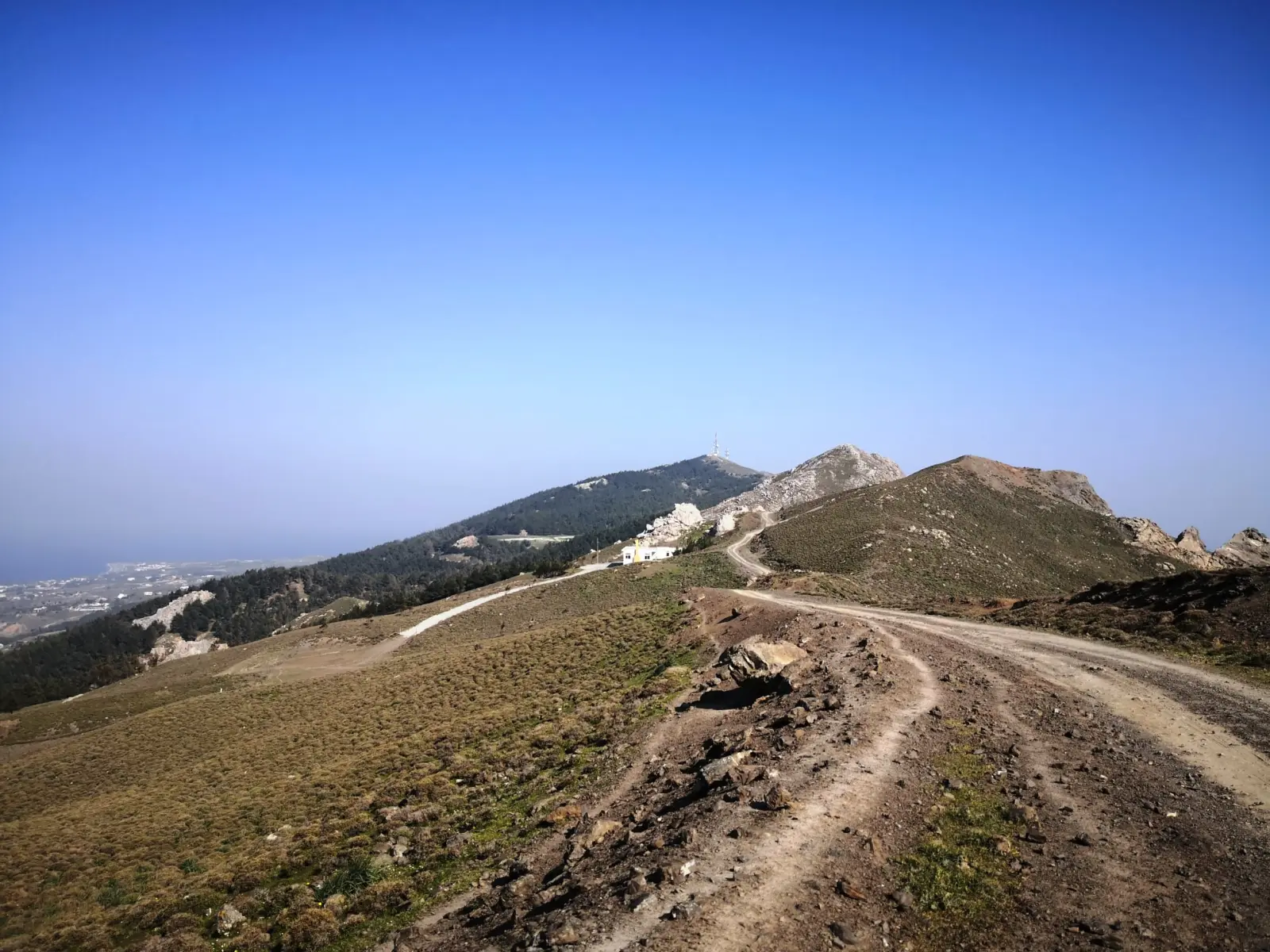 Gallery image for Turtle Hiking Tour