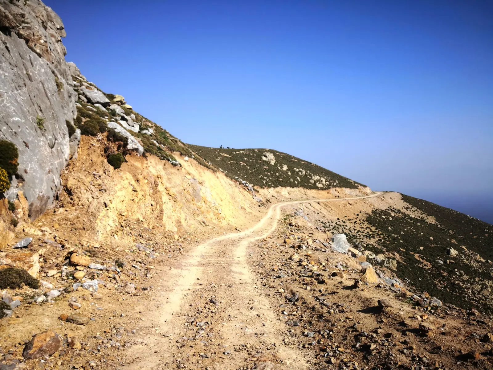 Gallery image for Turtle Hiking Tour