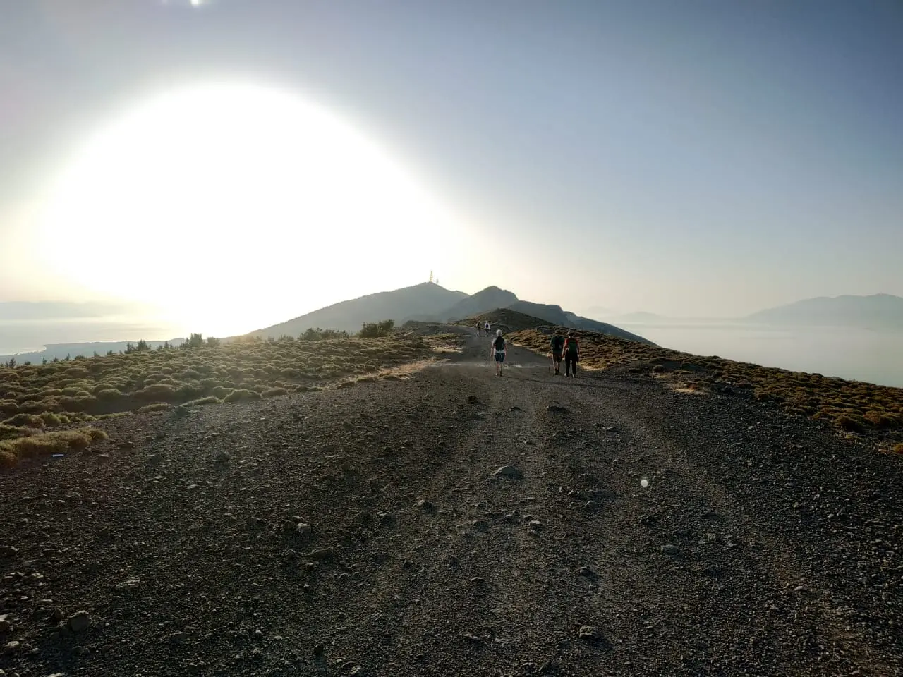 Gallery image for Turtle Hiking Tour