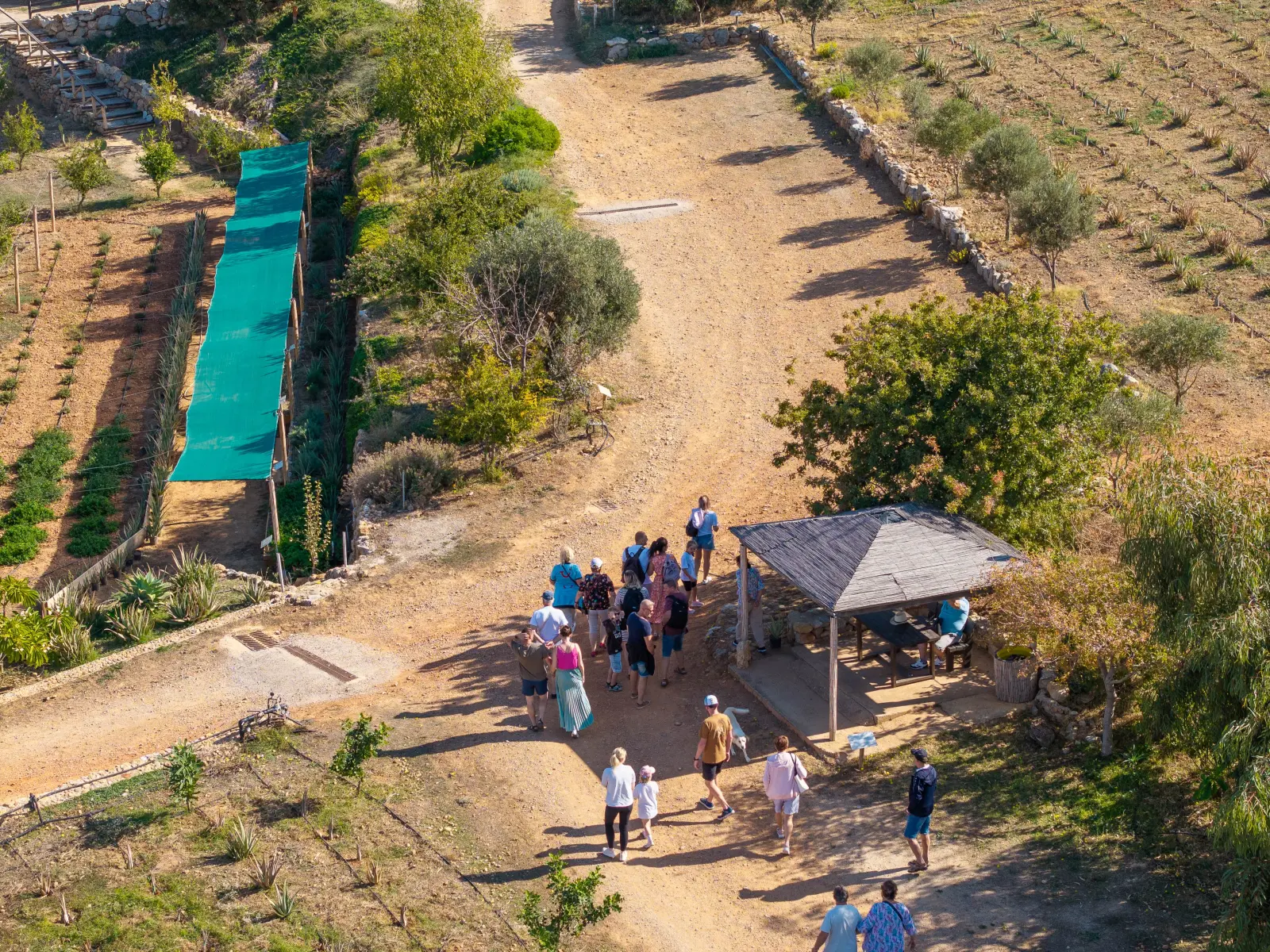 Gallery image for Aloe Farm Tour & Wellness Workshop