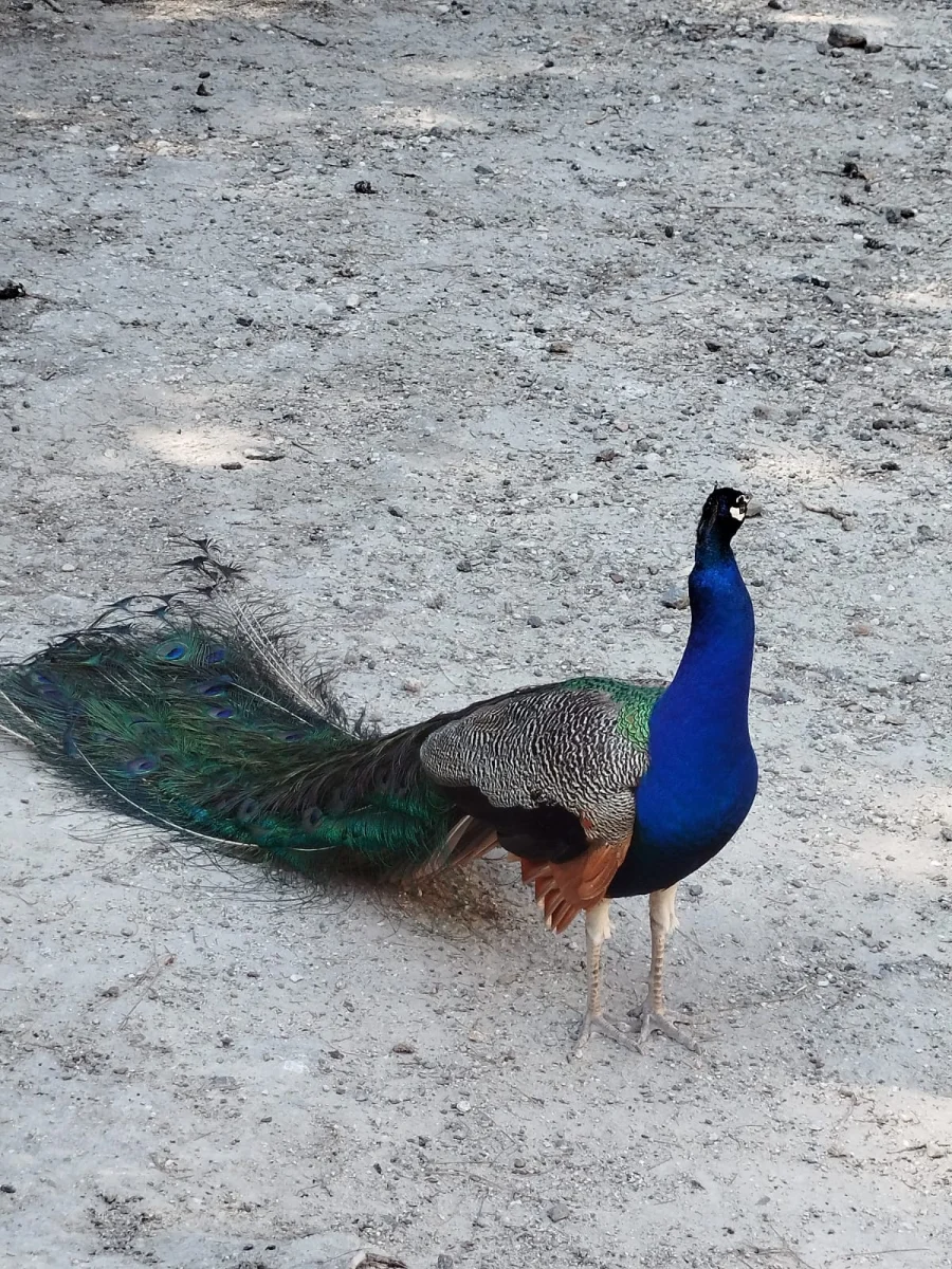 Gallery image for Tailor-Made Private Kos Island Tour with a Local Escort