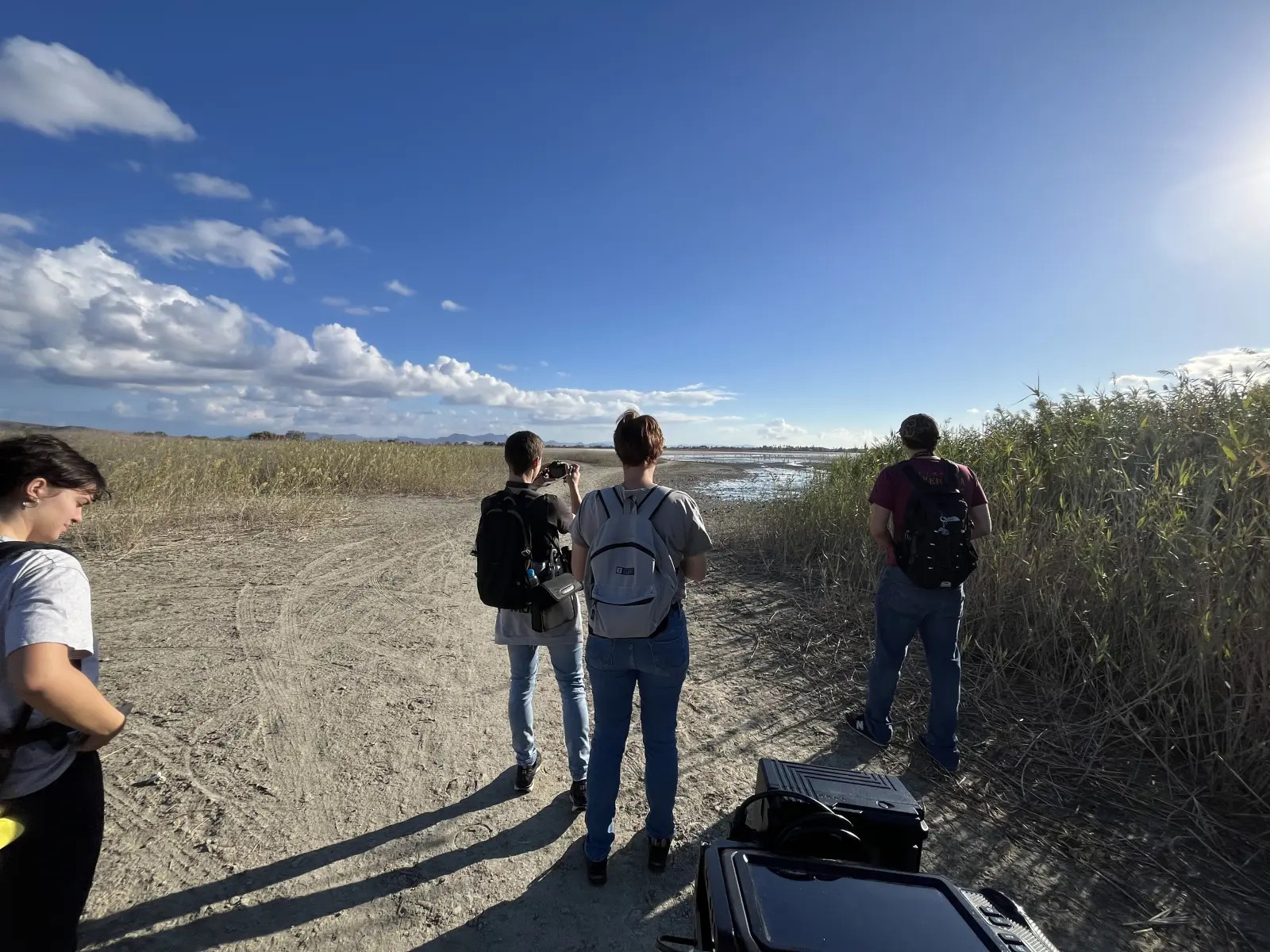 Gallery image for Kos Fauna Exploration Walk (Express)