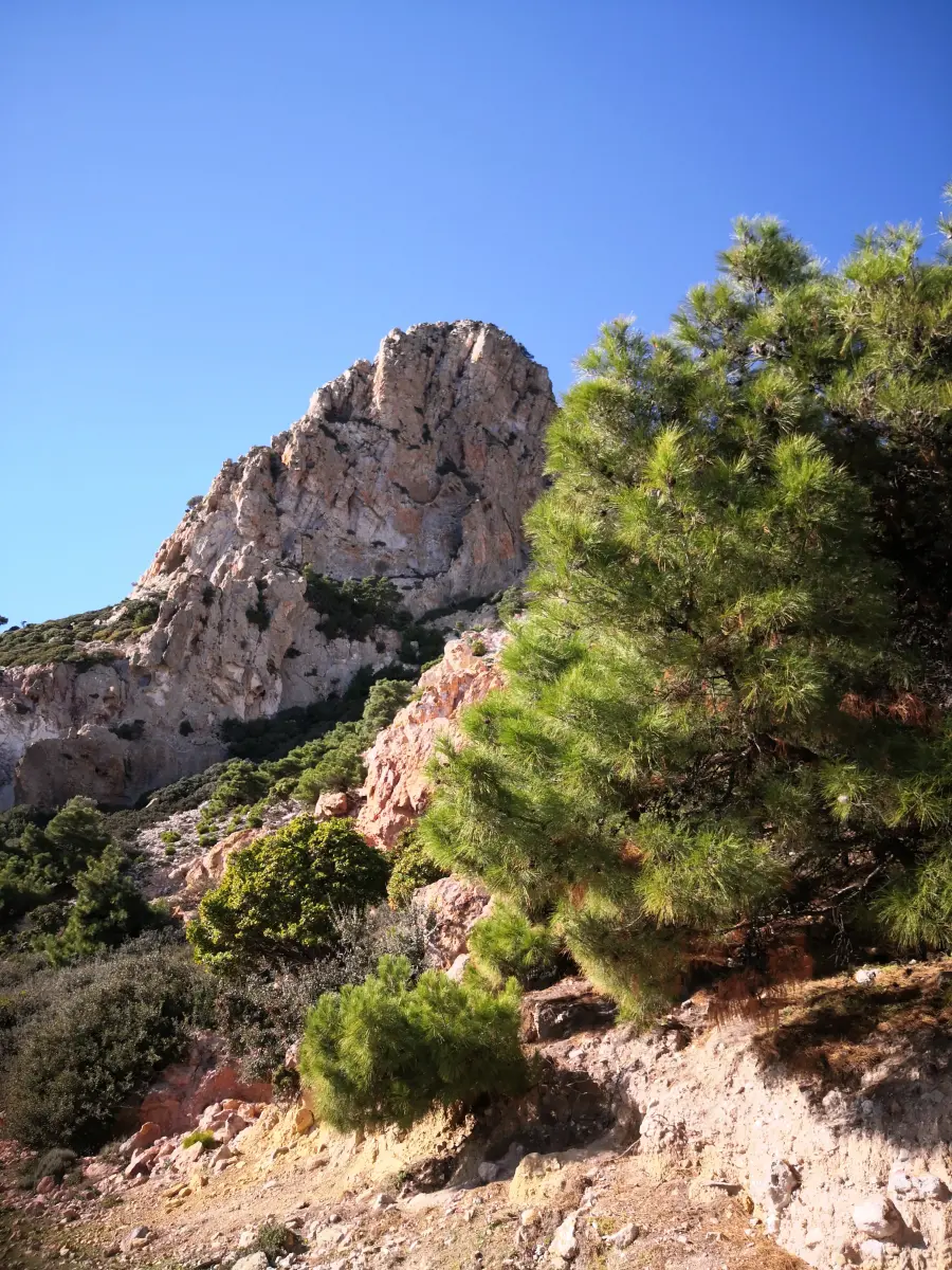Gallery image for Cliffside Pathways Tour - The Wild Coast of Kos