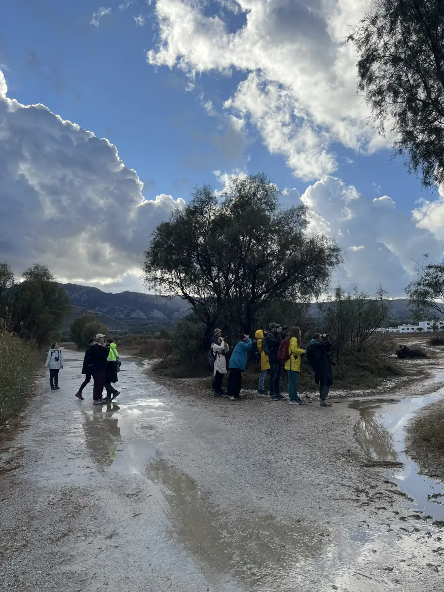 Gallery image for Kos Fauna Exploration Walk (Extended)