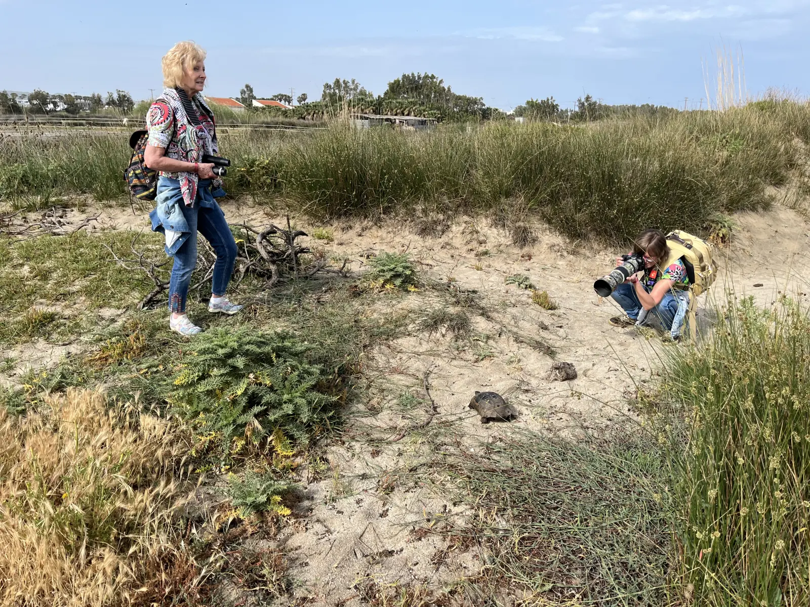 Gallery image for Kos Fauna Exploration Walk (Extended)