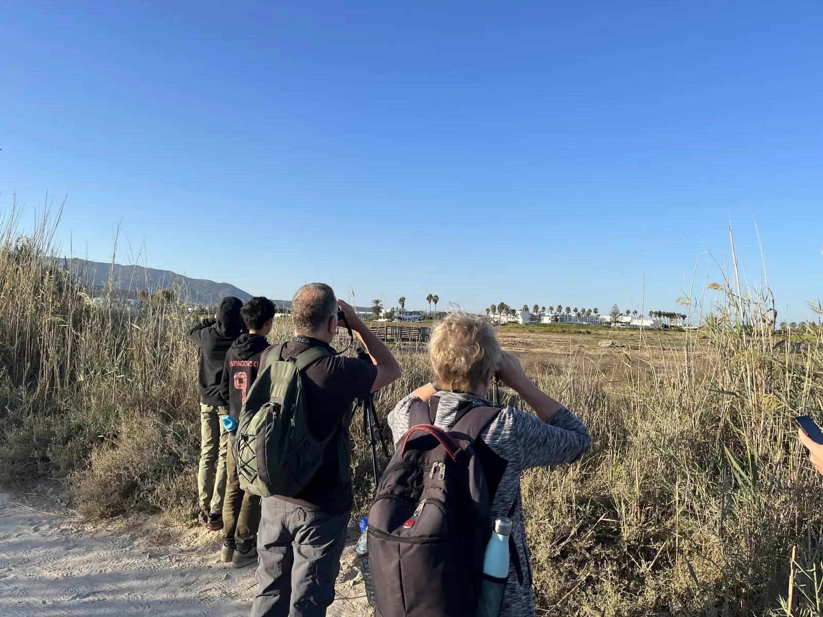 Gallery image for Kos Fauna Exploration Walk (Extended)