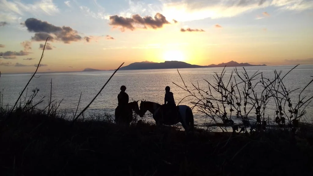 Gallery image for Sunrise Beach Horse Ride – A Magical Start to Your Day
