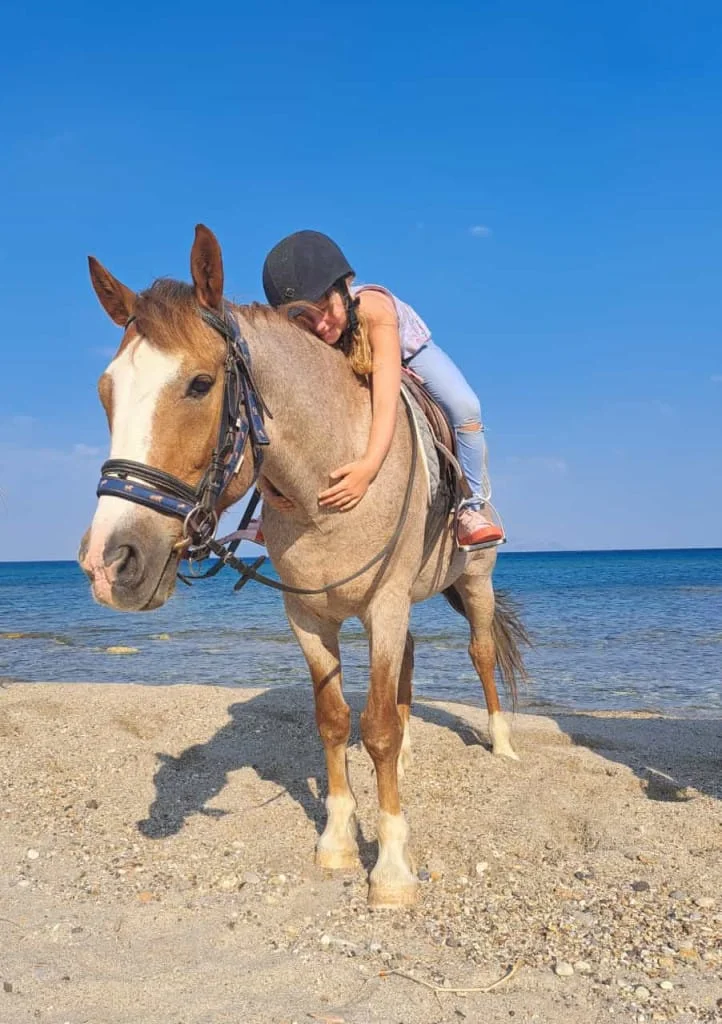 Gallery image for Sunset Beach Horse Ride – Ride into the Golden Hour