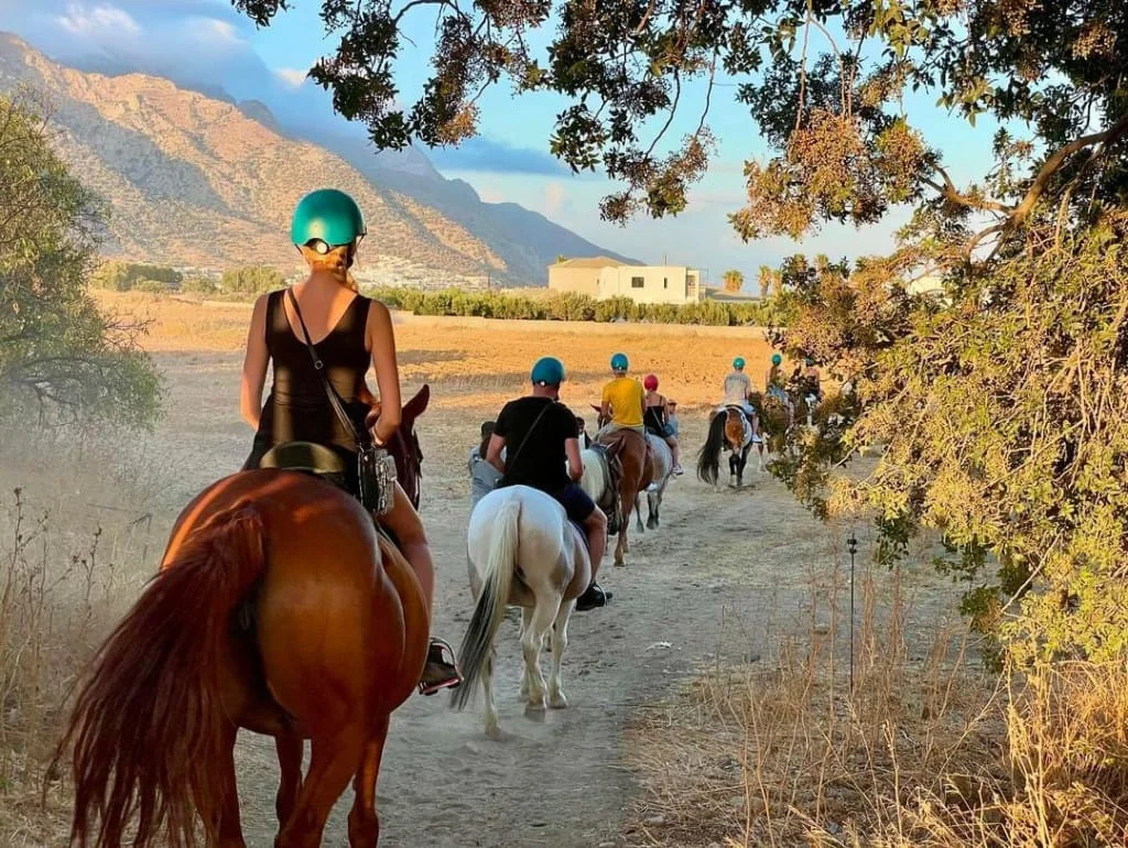 Gallery image for Sunset Beach Horse Ride – Ride into the Golden Hour