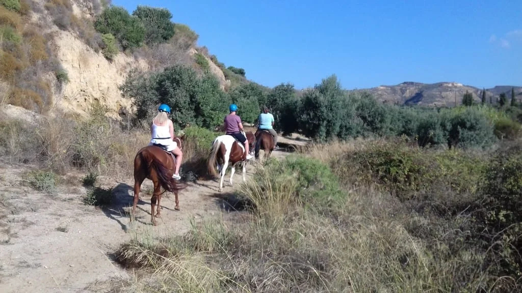 Gallery image for Sunset Beach Horse Ride – Ride into the Golden Hour